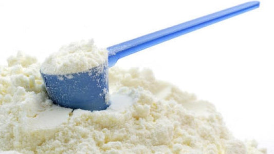 LECHE EN POLVO