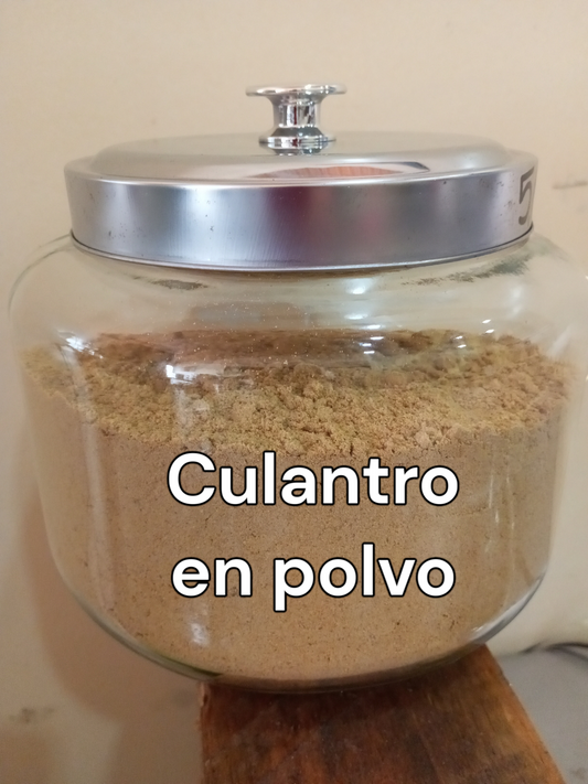 Culantro en polvo