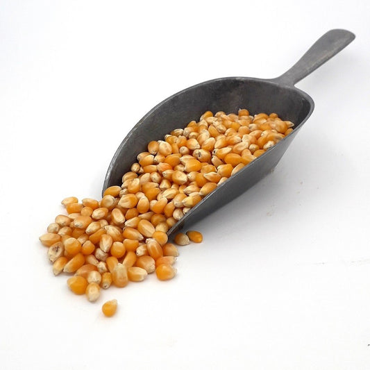 MAIZ PARA  PALOMITAS
